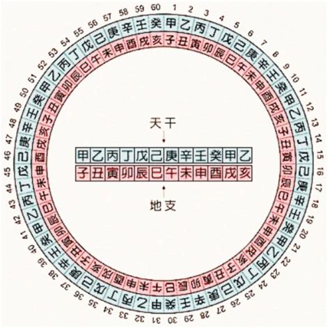 2007天干地支|干支对照表